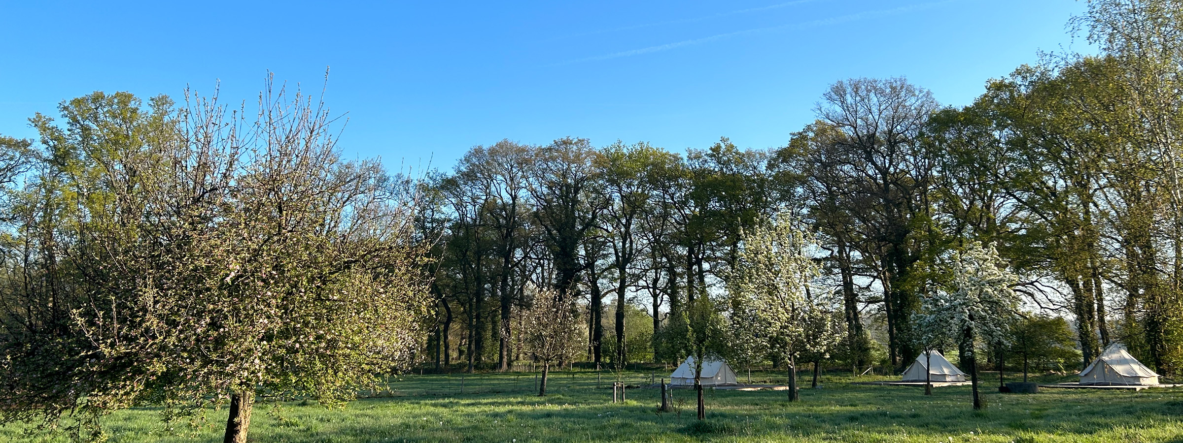 theplacetobe_groen_omgeving_belltent